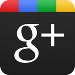 google+ traffic