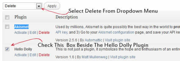 delete hello dolly plugin